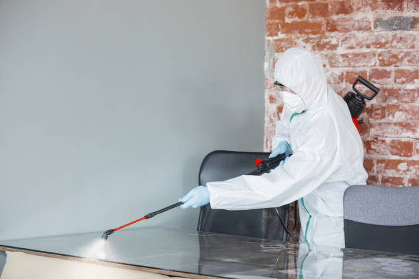 Best Water Damage & Mold Remediation  in Russell, KS