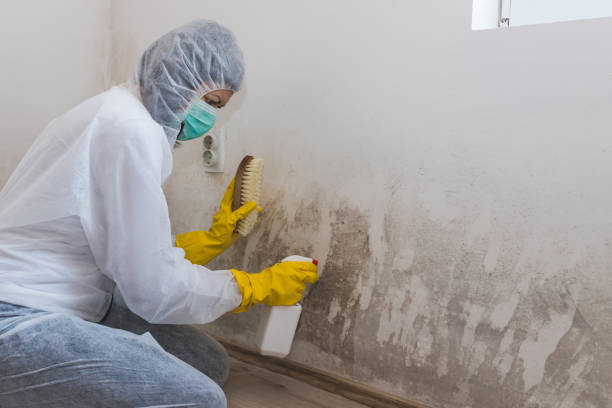 Asbestos and Lead Testing During Mold Inspection in Russell, KS