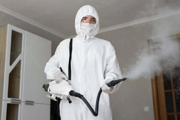 Reliable Russell, KS Mold Removal & Remediation Solutions